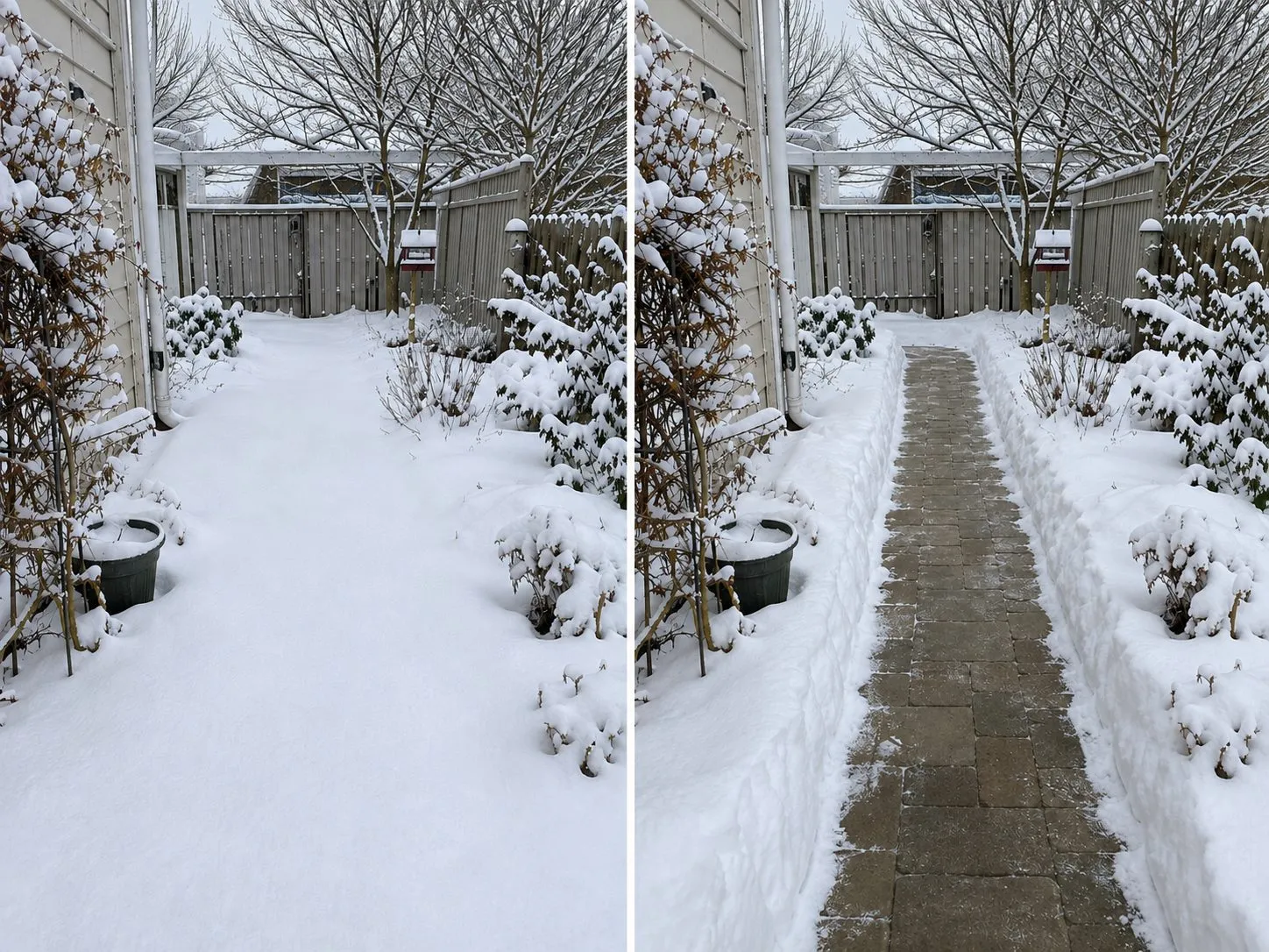 Före och efter – Trädgård & vinter