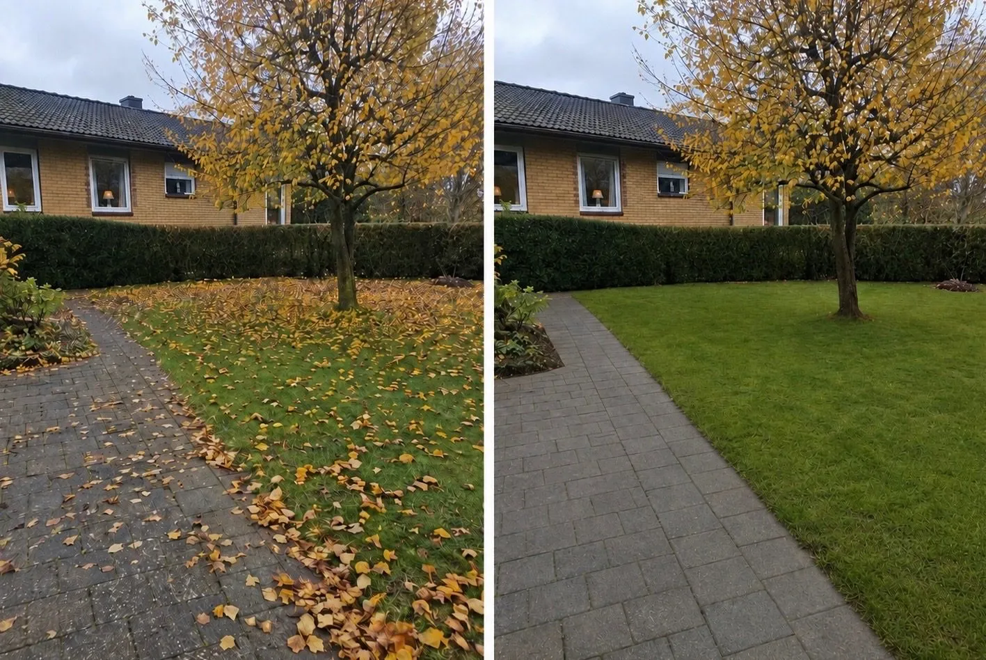 Före och efter – Trädgård & vinter
