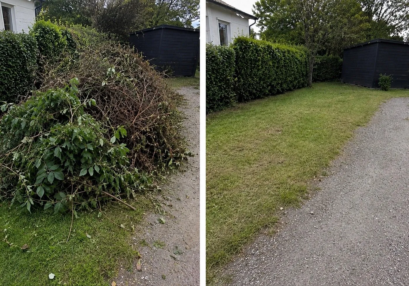 Före och efter – Trädgård & vinter