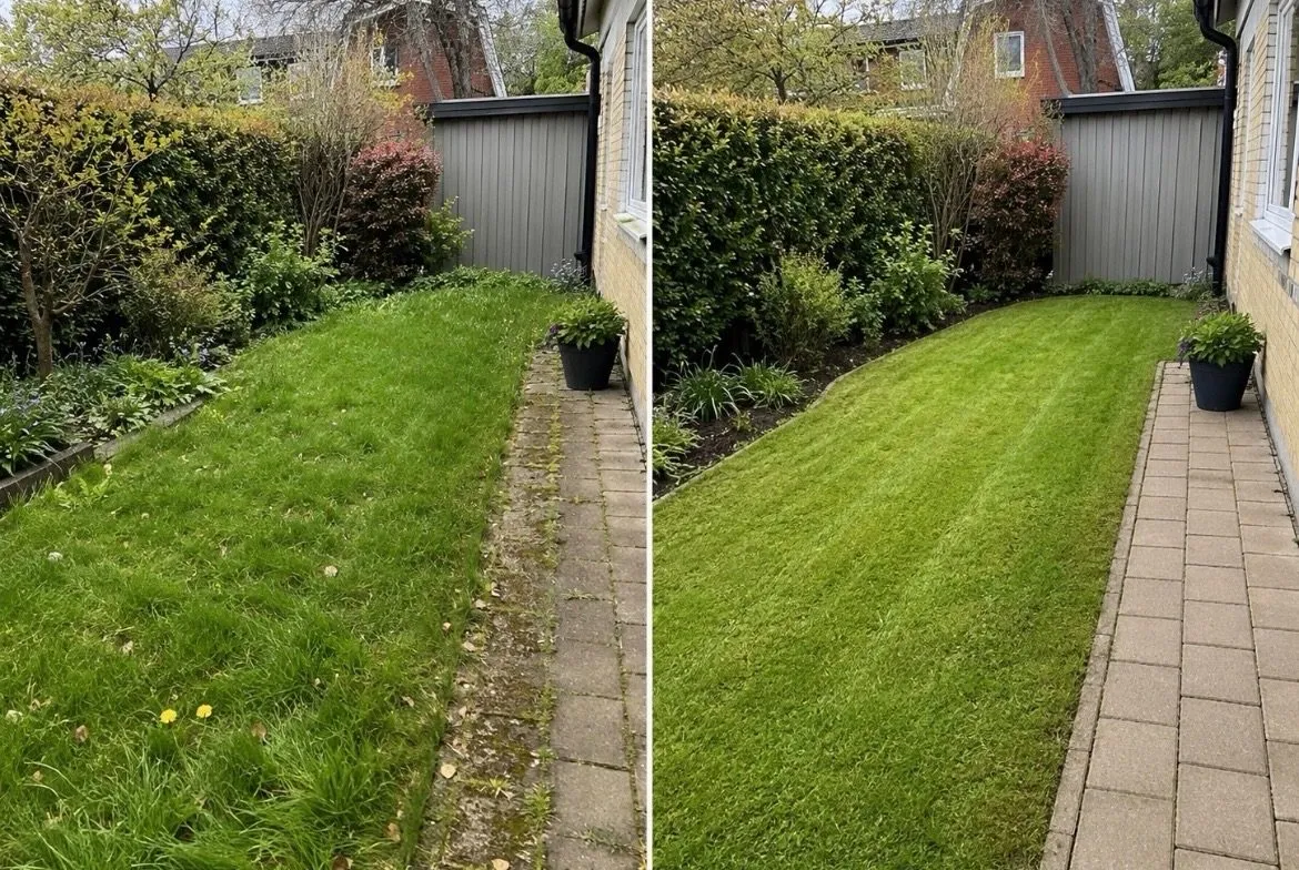 Före och efter – Trädgård & vinter