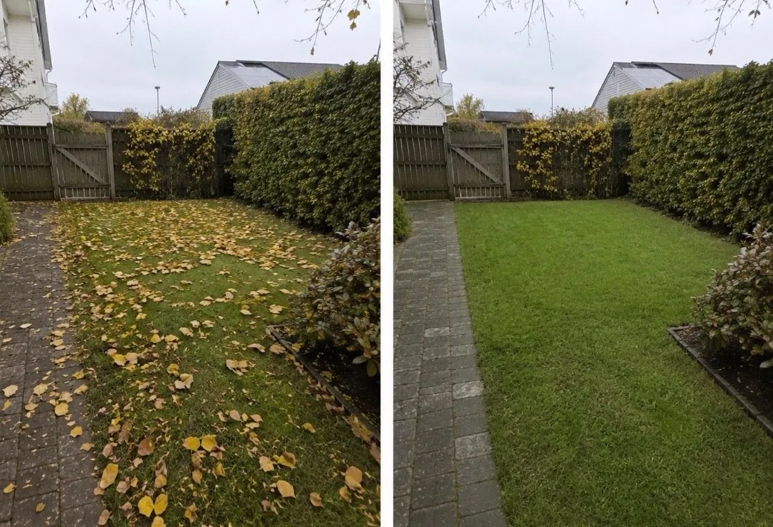 Före och efter – Trädgård & vinter