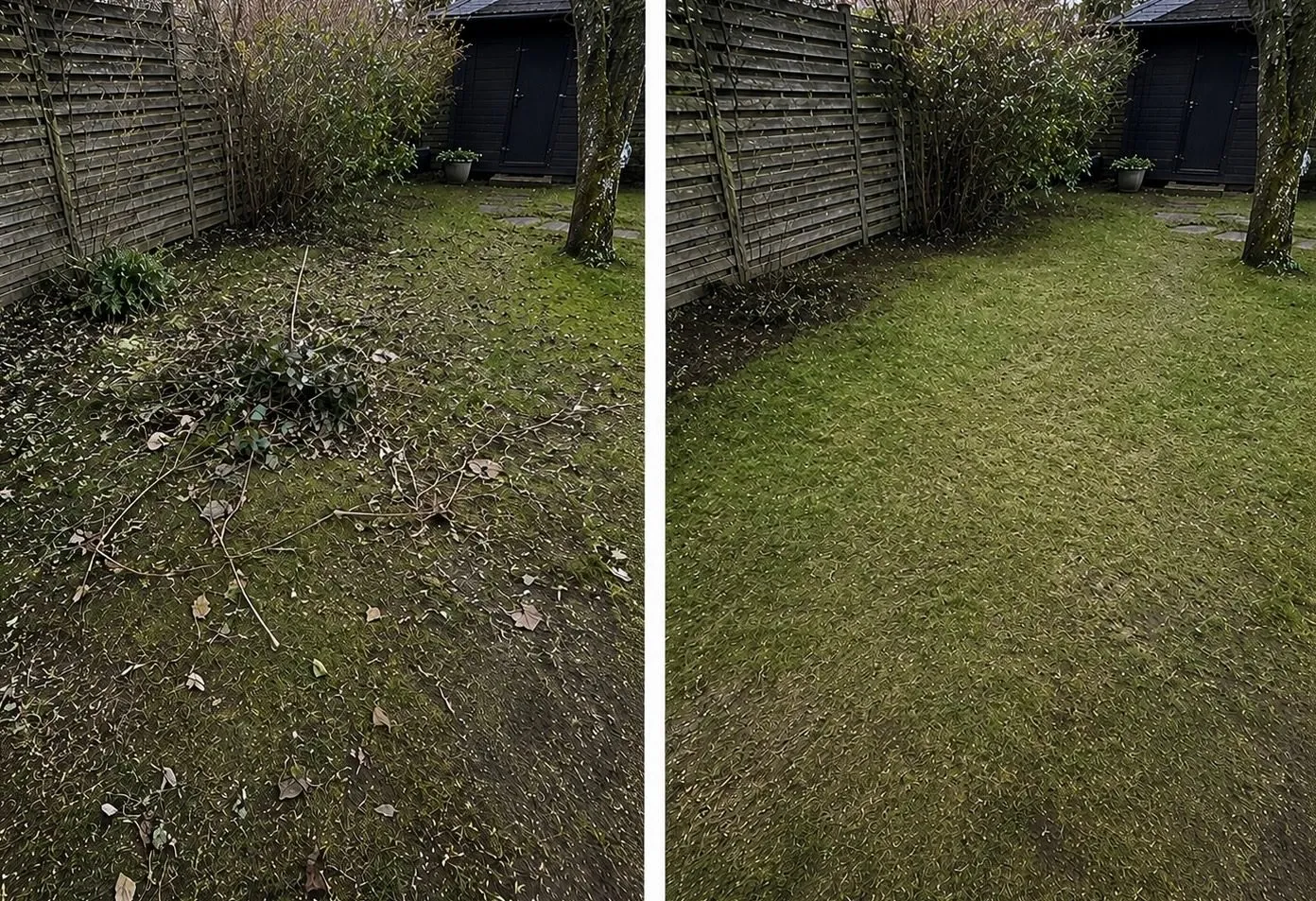 Före och efter – Trädgård & vinter