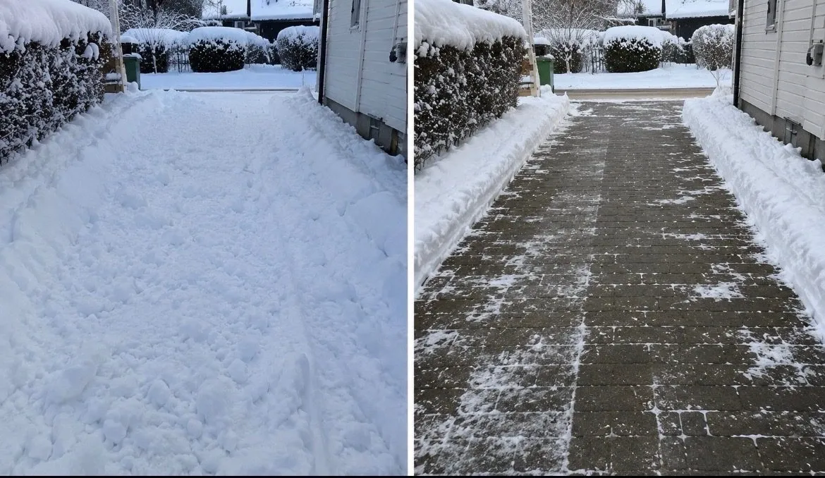 Före och efter – Trädgård & vinter