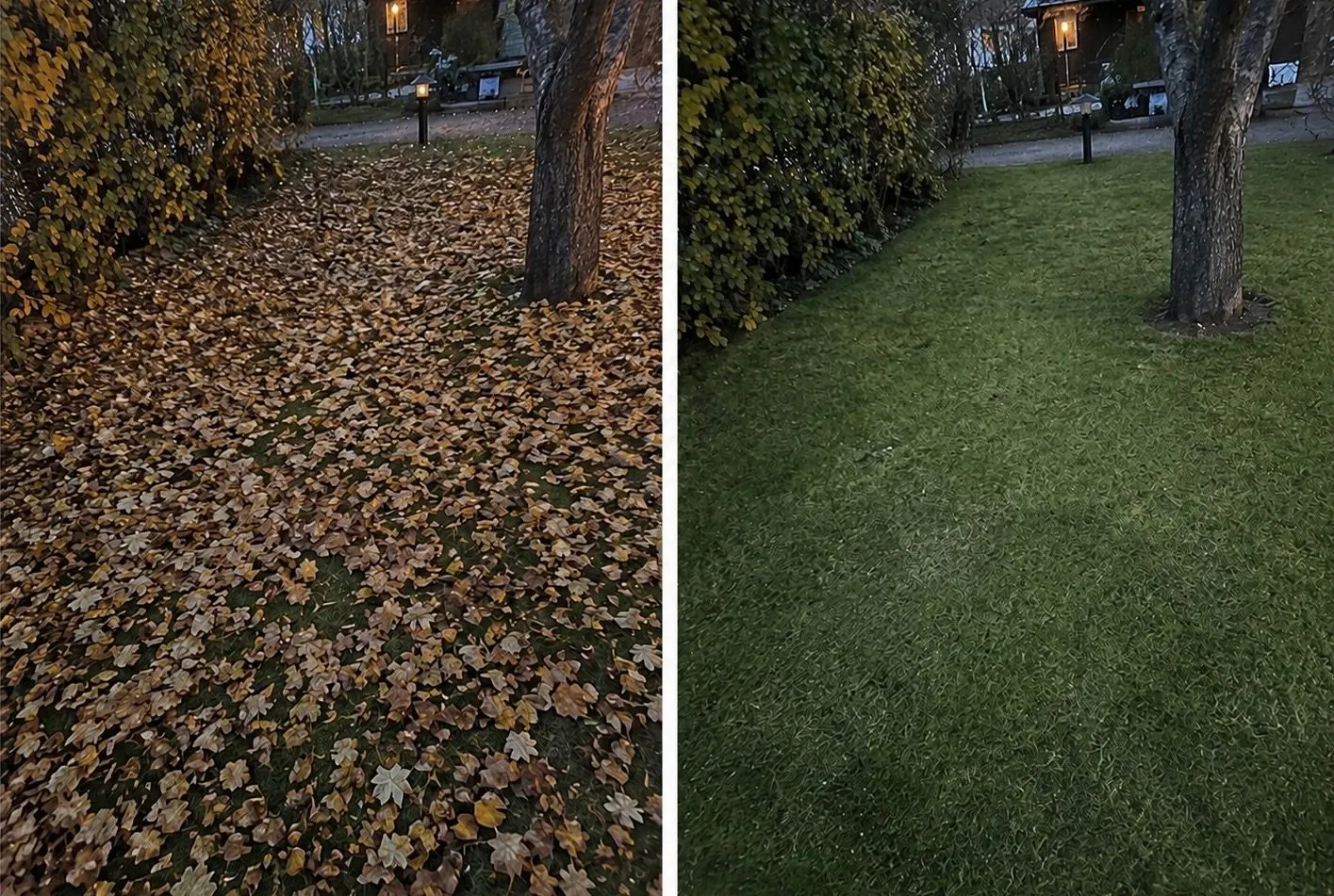 Före och efter – Trädgård & vinter