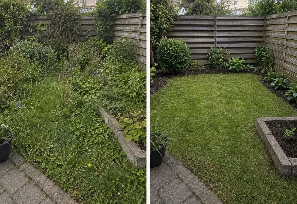 Före och efter – Trädgård & vinter