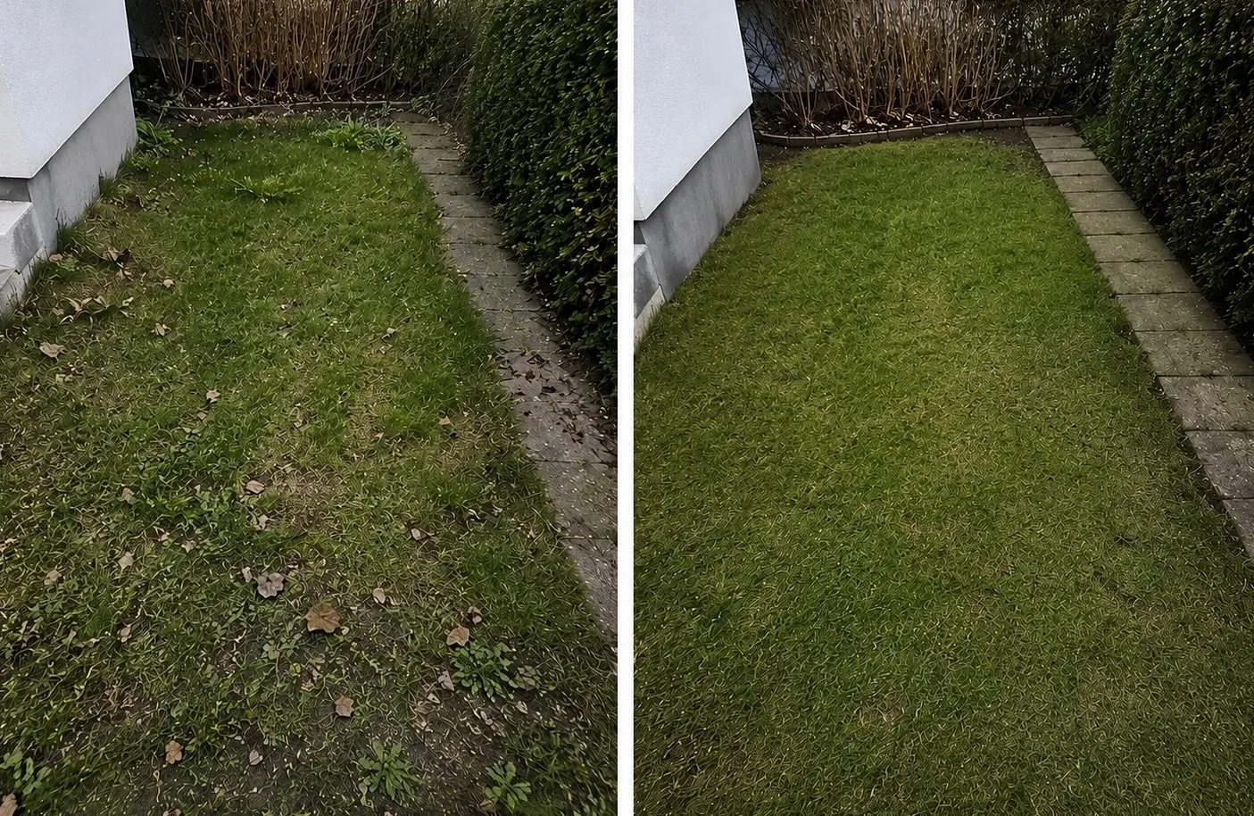 Före och efter – Trädgård & vinter