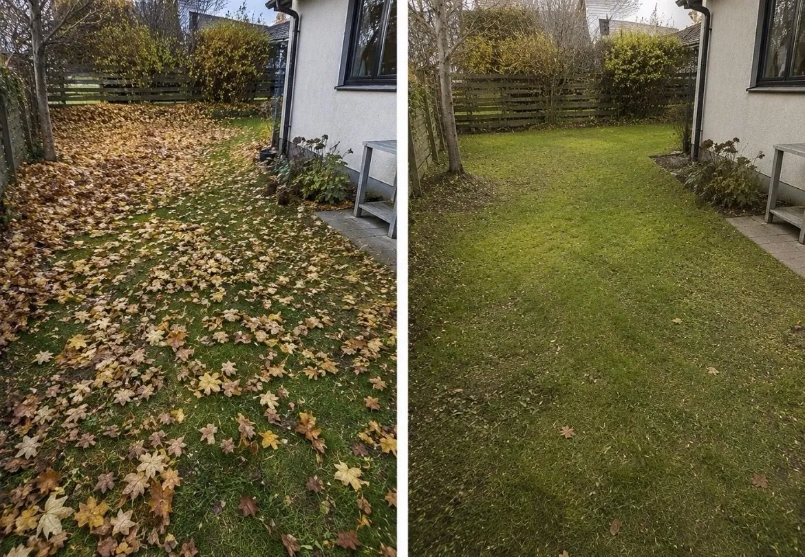 Före och efter – Trädgård & vinter
